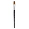 Princeton Aqua Elite Series 4850 Synthetic Brush- Stroke, Size 1/2", Short Handle